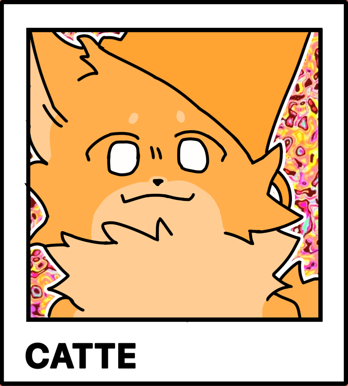Catte