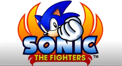 Sonic the Fighter