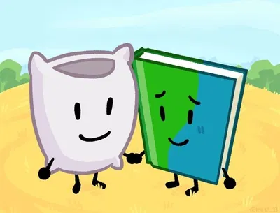 Book and Pillow bfdi