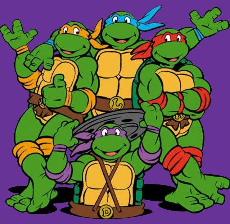 Teenage Mutant Ninja Turtles (TMNT)