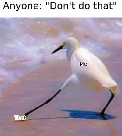 Ima do it