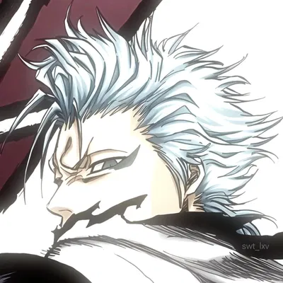 GRIMMJOW JAEGERJAQUEZ