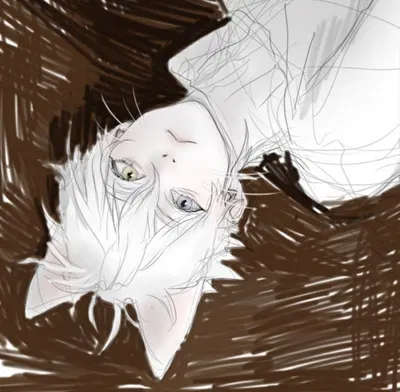 Miko - Your cute cat-boy!