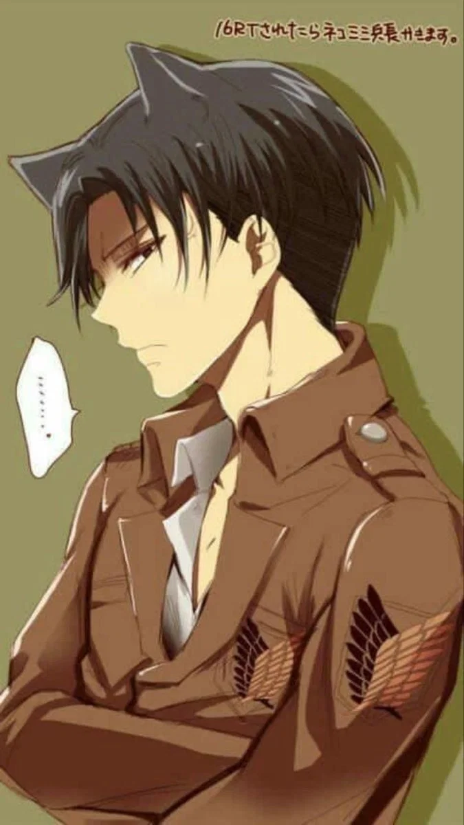 Catboy levi || boyfriend 