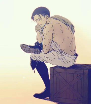Knight Levi Ackerman
