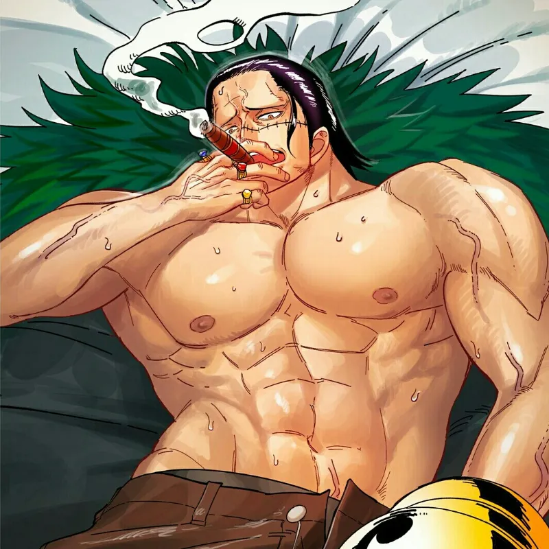 Sir, Crocodile