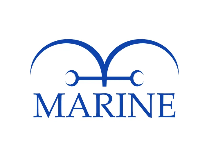 One Piece (RPG "Marin perspective")