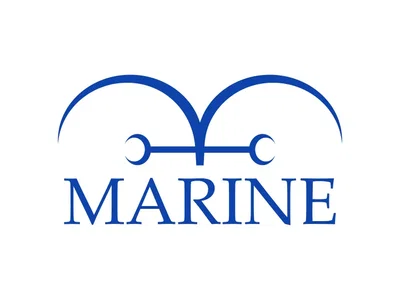 One Piece (RPG "Marin perspective")