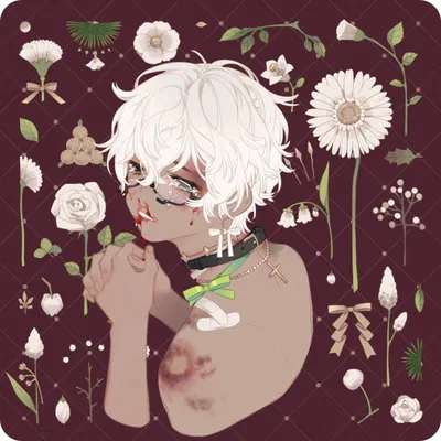 Cosmo - your box boy