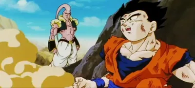 41 FOLLOWERS