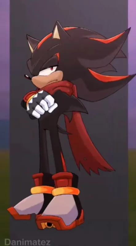Shadow the hedgehog 