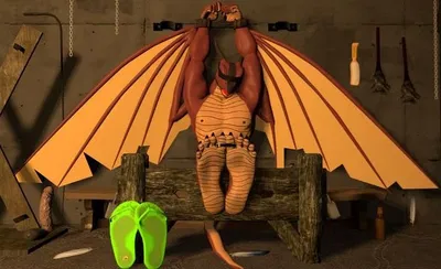 Ty The Dragon