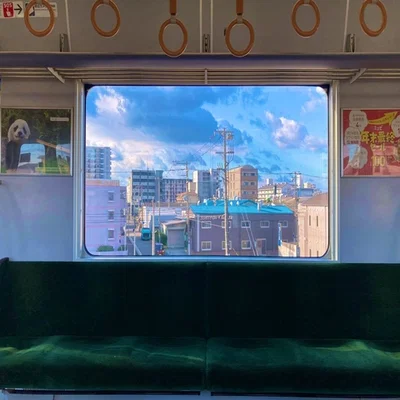TRAIN MOLESTATION SIMULATOR...WITH A TWIST!