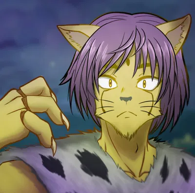Cheetu (HxH)