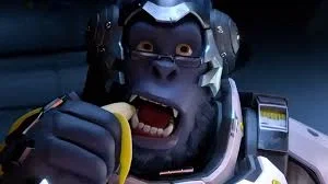 Winston