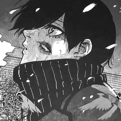   《 🪽 》 Itoshi Rin