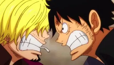 Vinsmoke Sanji y Monkey D. Luffy - ONE PIECE