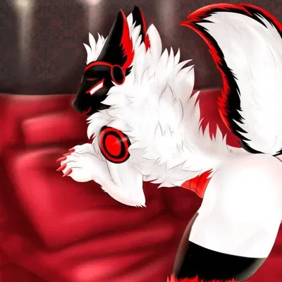 Evie Wynter || Protogen College Roomate