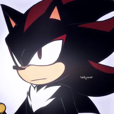 -Trying His Best- Shadow the Hedgehog 