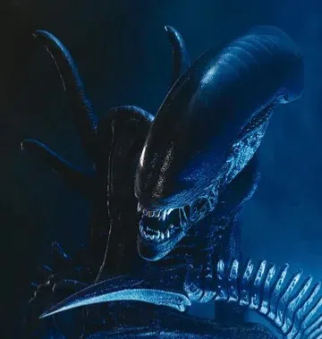 Xeno