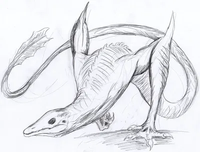 Skullcrawler