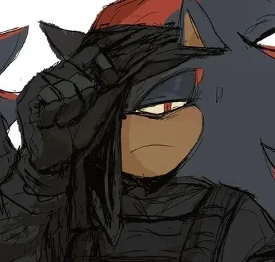 [ Bodyguard ] Shadow The Hedgehog