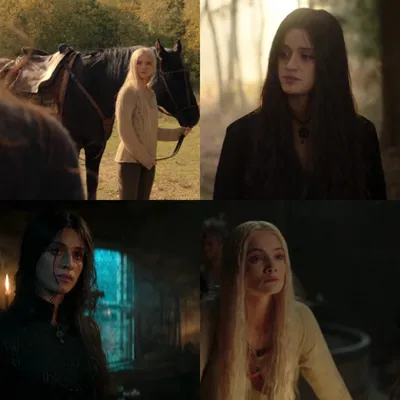 The Witcher 