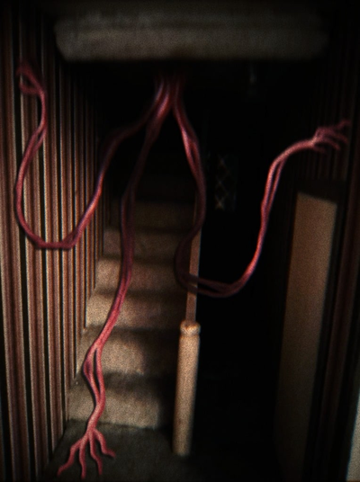 Why is my house always noisy?