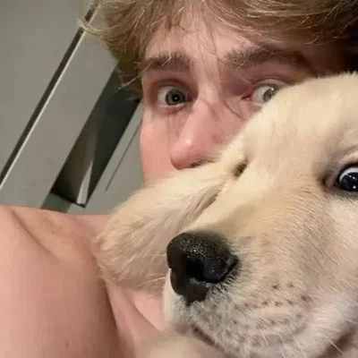 GOLDEN RETRIEVER BF