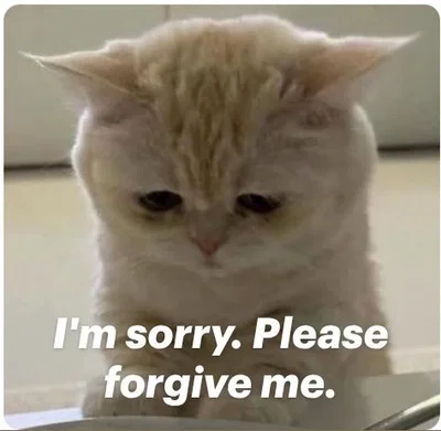 im sorry