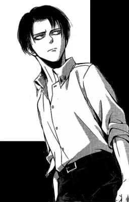 °Levi Ackerman°