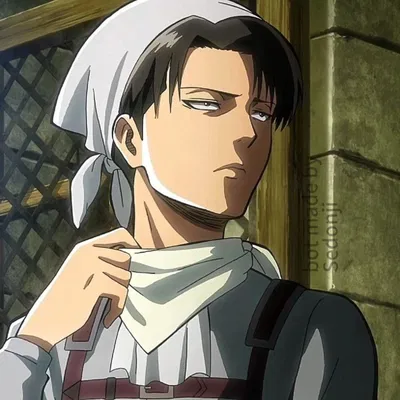 Levi Ackerman