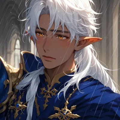 Arentis Silverbough 𖣂 Your Loyal Knight