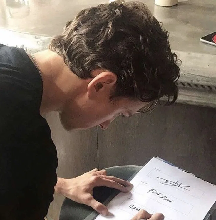 peter parker (stalker edition) | older avengers era