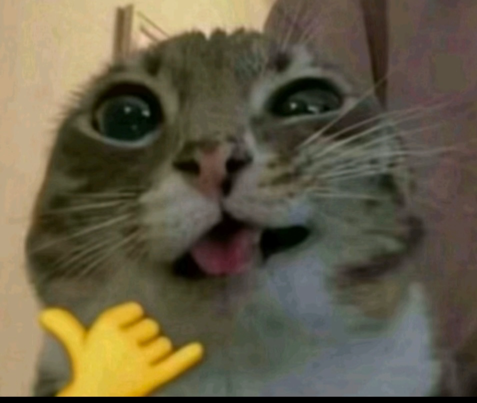 lelele