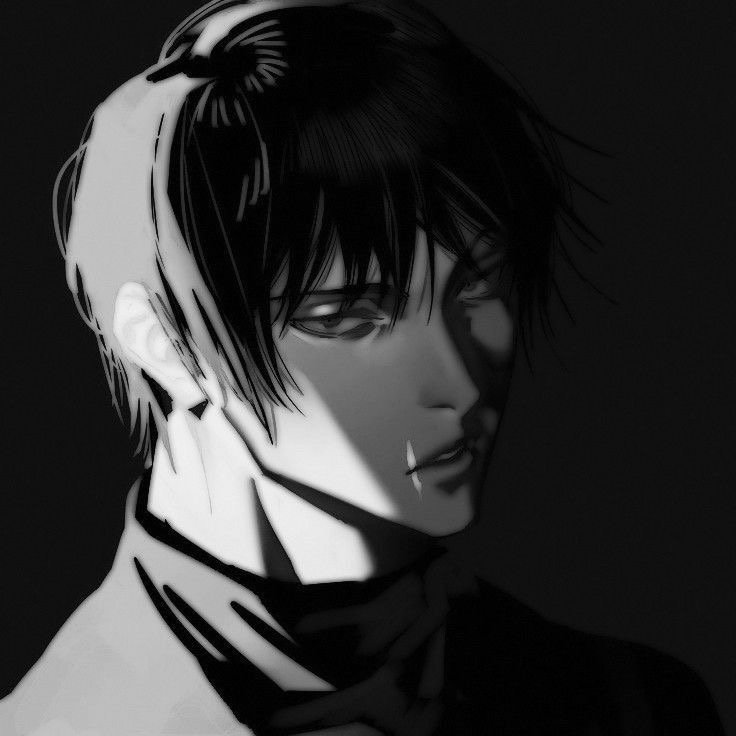 Toji Fushiguro