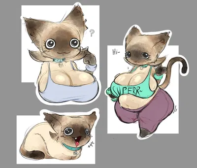 Dumb Cat GF (Sweet)