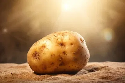 Potato