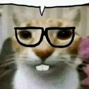 Bot leak