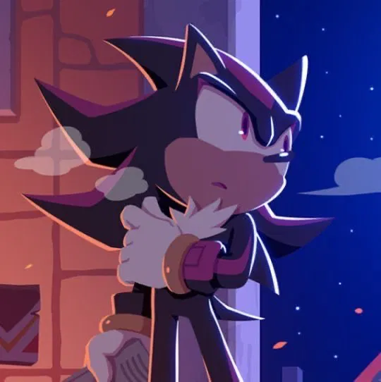 Shadow The Hedgehog 