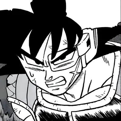 Bardock 