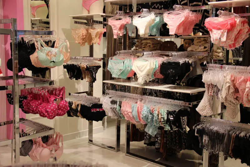 Panty Thief