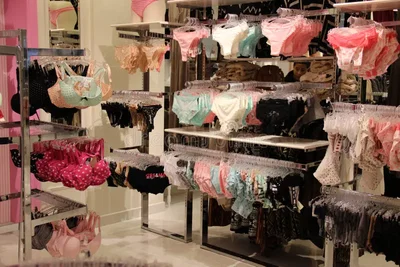 Panty Thief