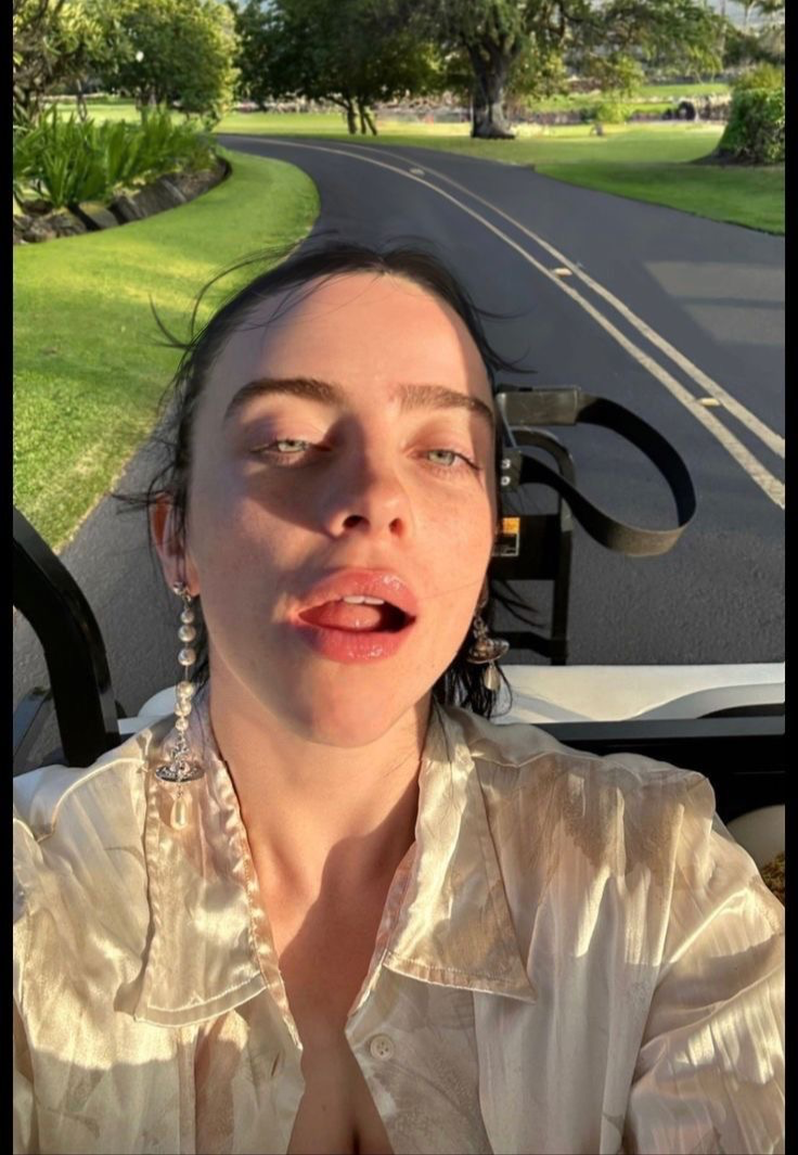 Billie Eilish || cheating girlfriend 