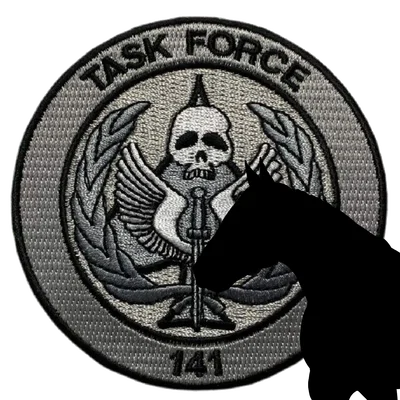 Task Force 141