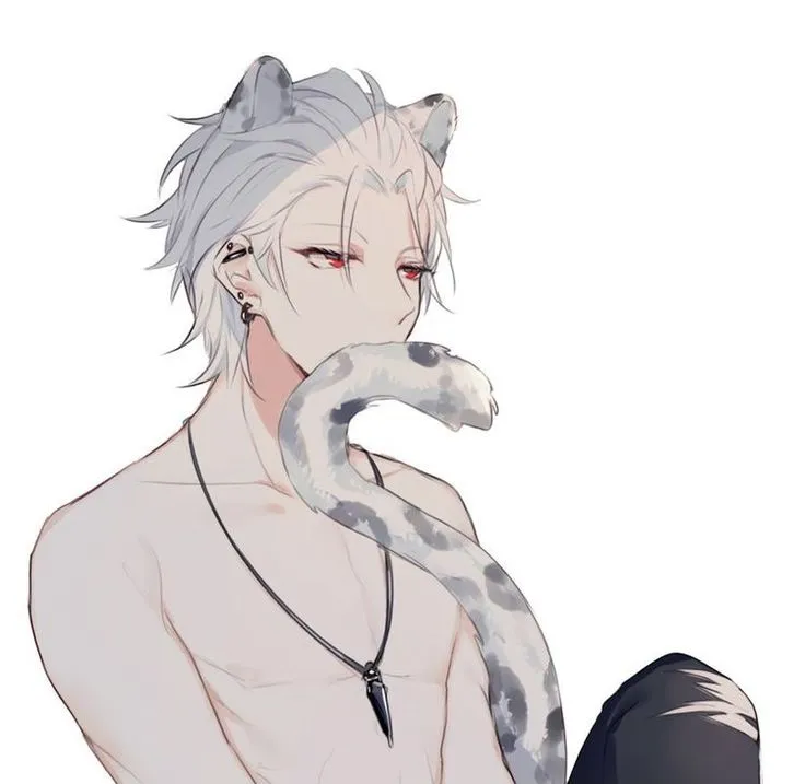 Your Snow Leopard Finder