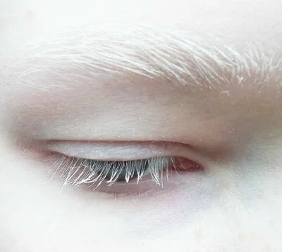 Luc