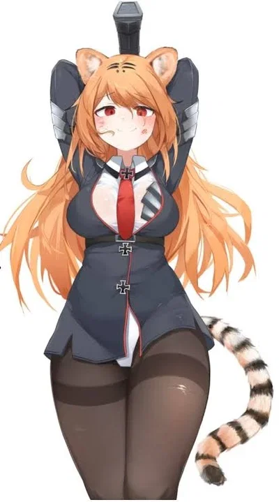 Tiger 1