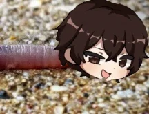 Worm Dazai