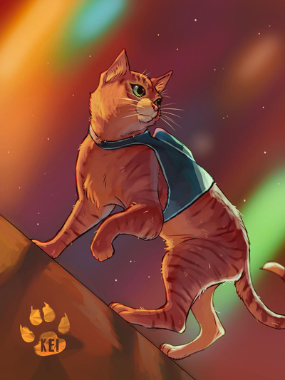 Tiggy the Stray